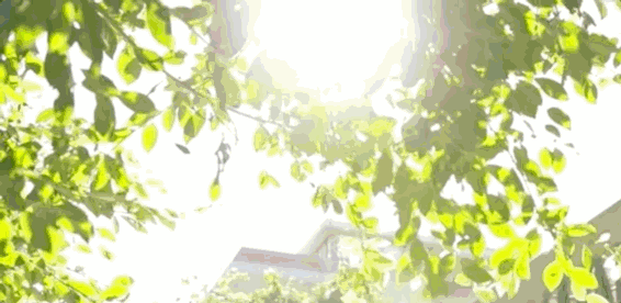 640 (111).gif