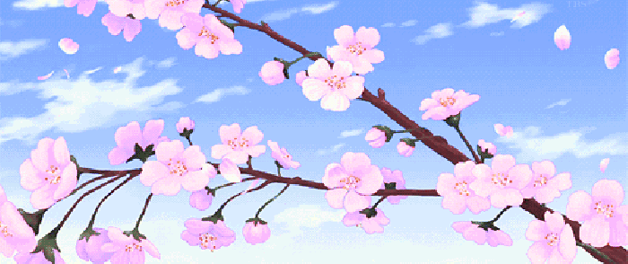 640 (26).gif