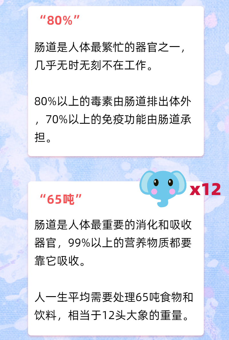 02.png